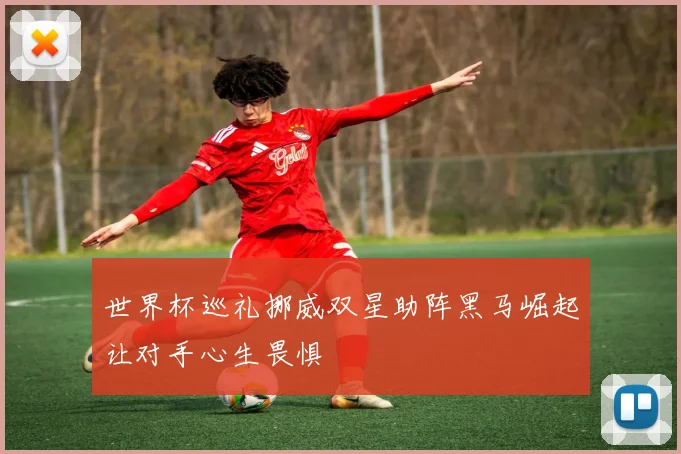 世界杯巡礼挪威双星助阵黑马崛起让对手心生畏惧