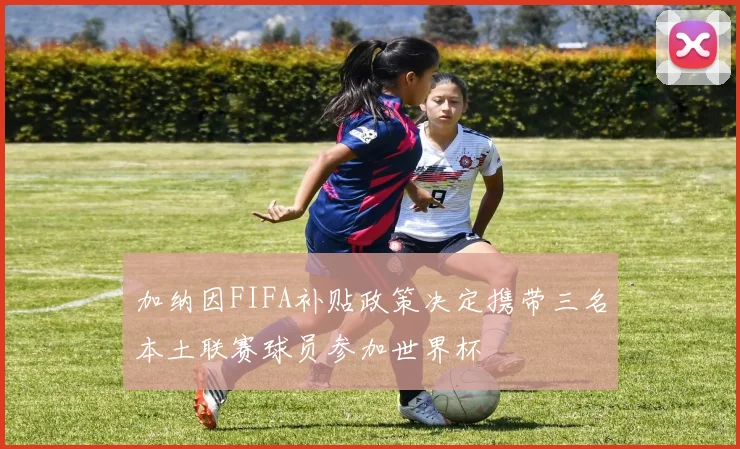 加纳因FIFA补贴政策决定携带三名本土联赛球员参加世界杯